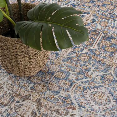 Traditional Rug
